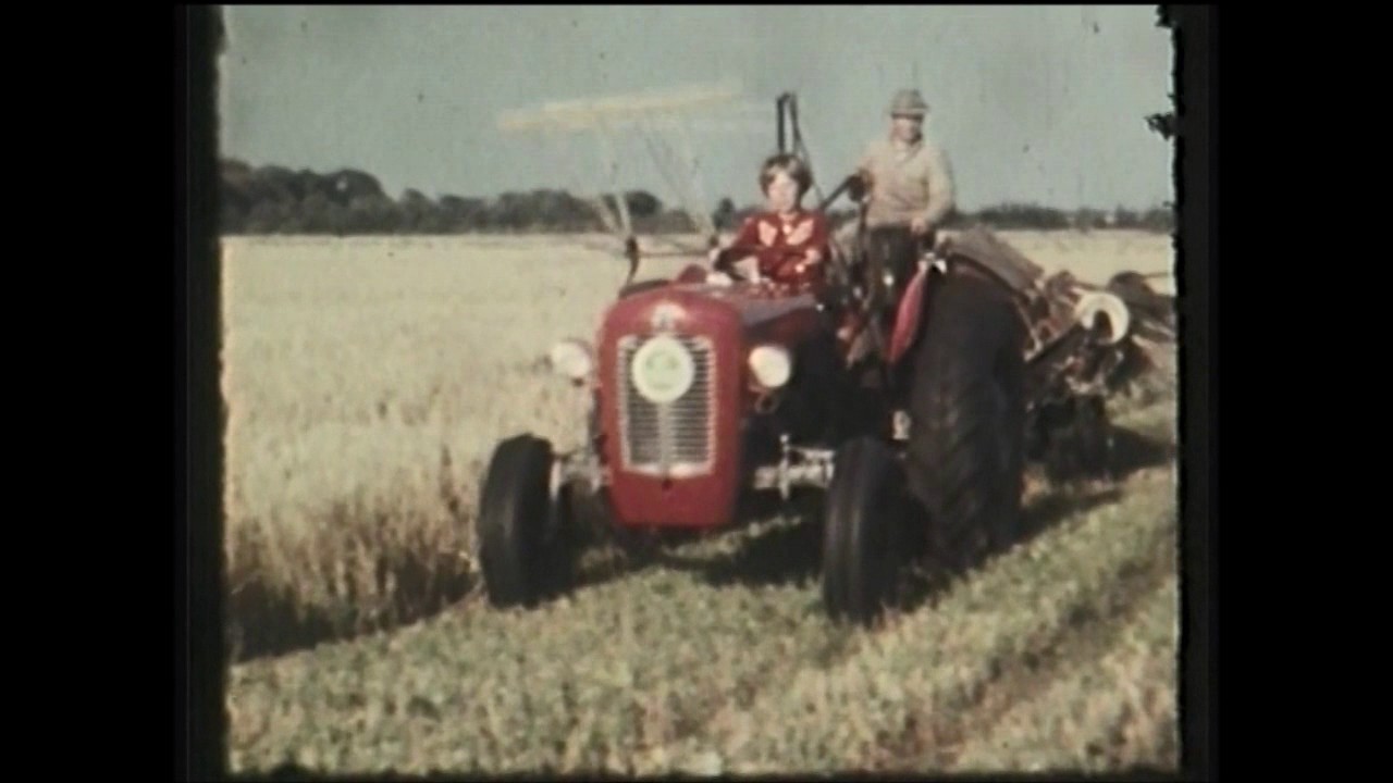 Bylderup Bov 1960 - Ringridning