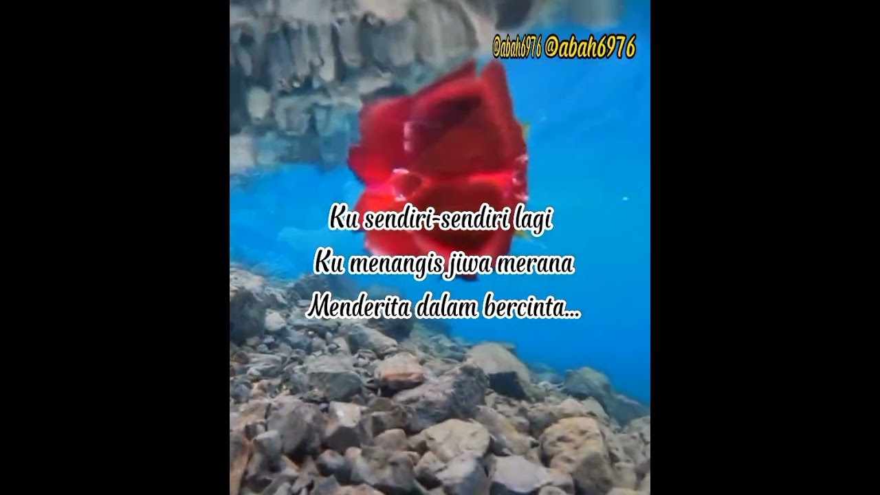 DATO' DJ DAVE - KINI KU MENANGIS LAGI (Video Lirik)