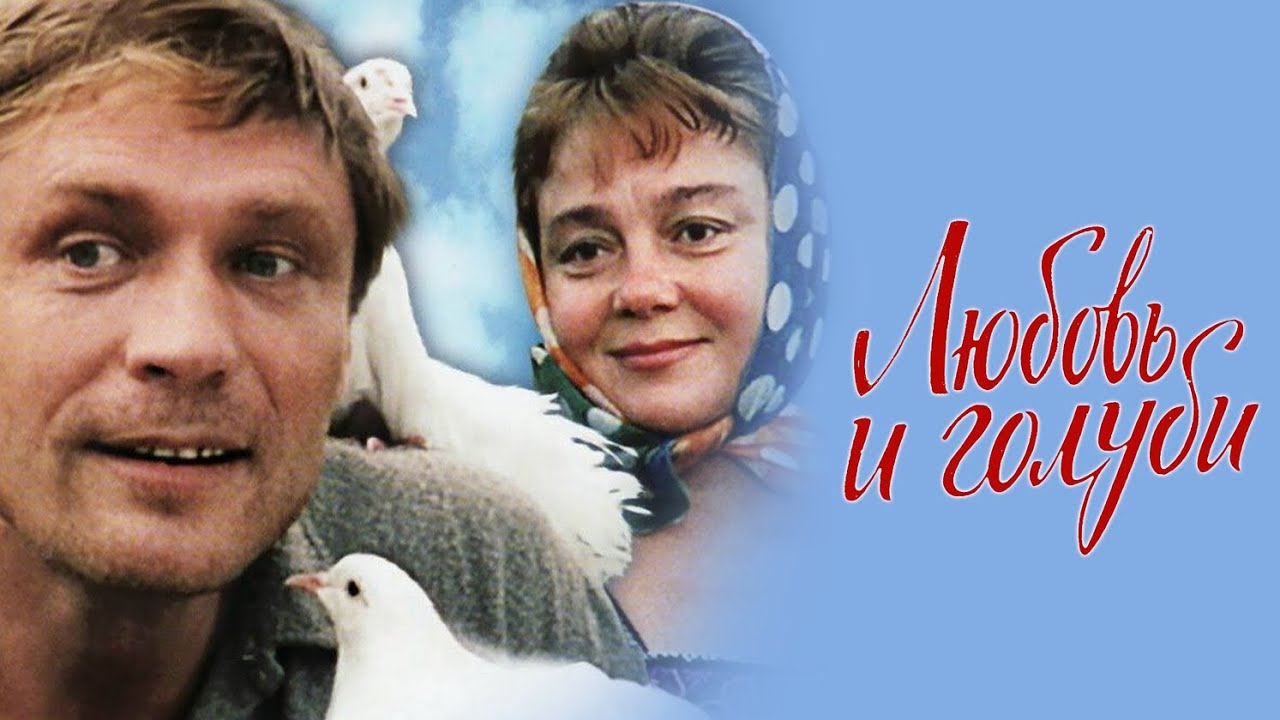 Любимые советские фильмы. Любовь и голуби.