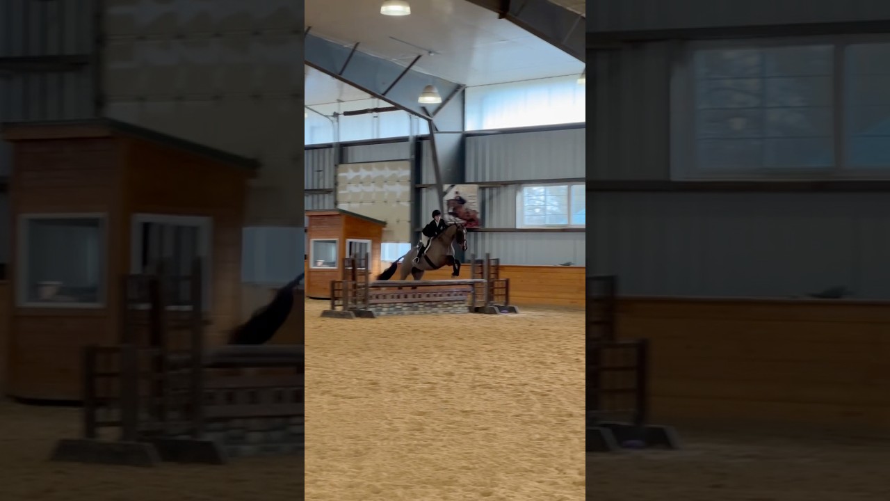kruzy was super for our 2nd show in the children&rsquo;s! || #equestrian #ride #horse #riding #horserider
