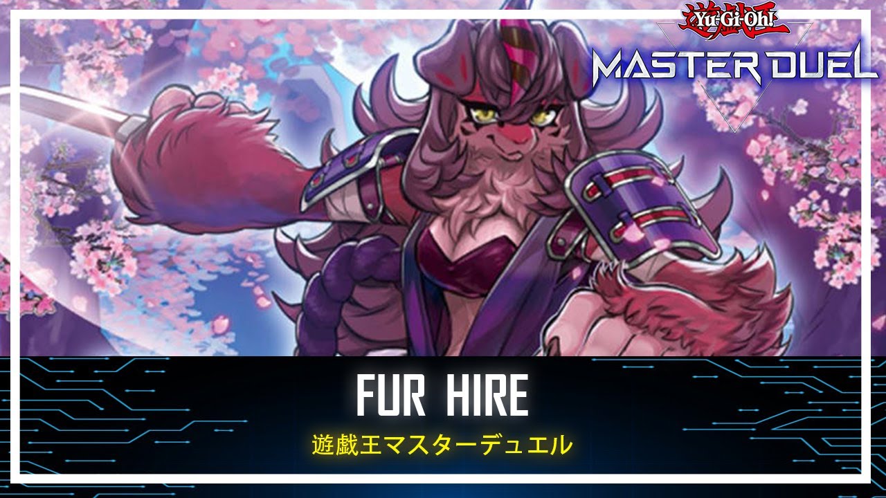 Fur Hire - Donner, Dagger Fur Hire / Draw 3 Cards / The Synchronized Cosmos [Yu-Gi-Oh! Master Duel]