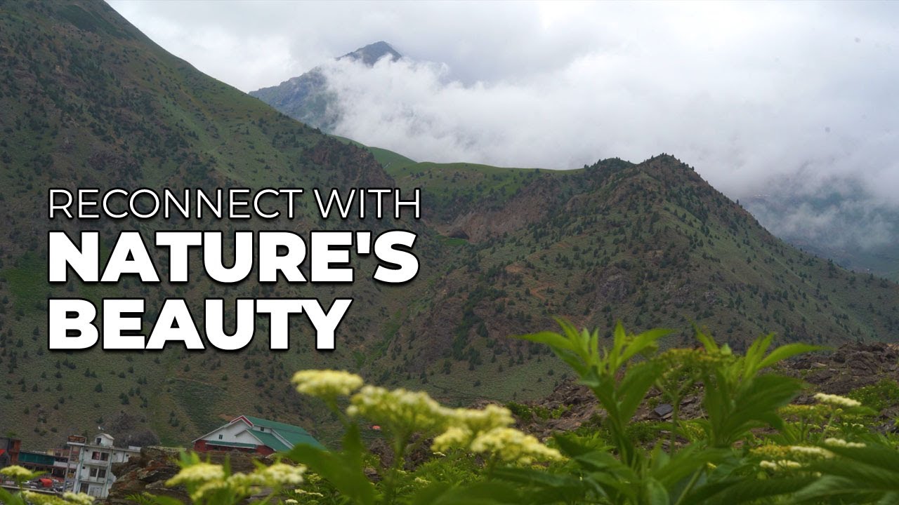 Reconnect with Nature's Beauty: A Journey to Serenity