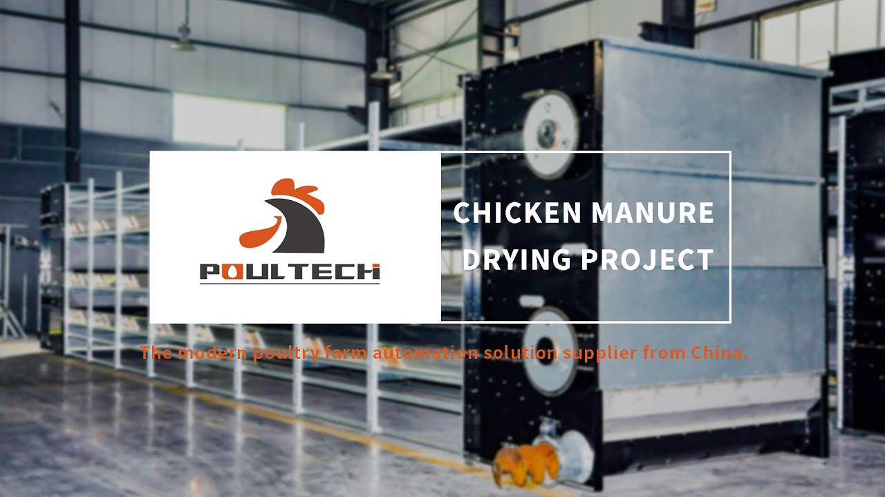 Chicken Manure Drying Project