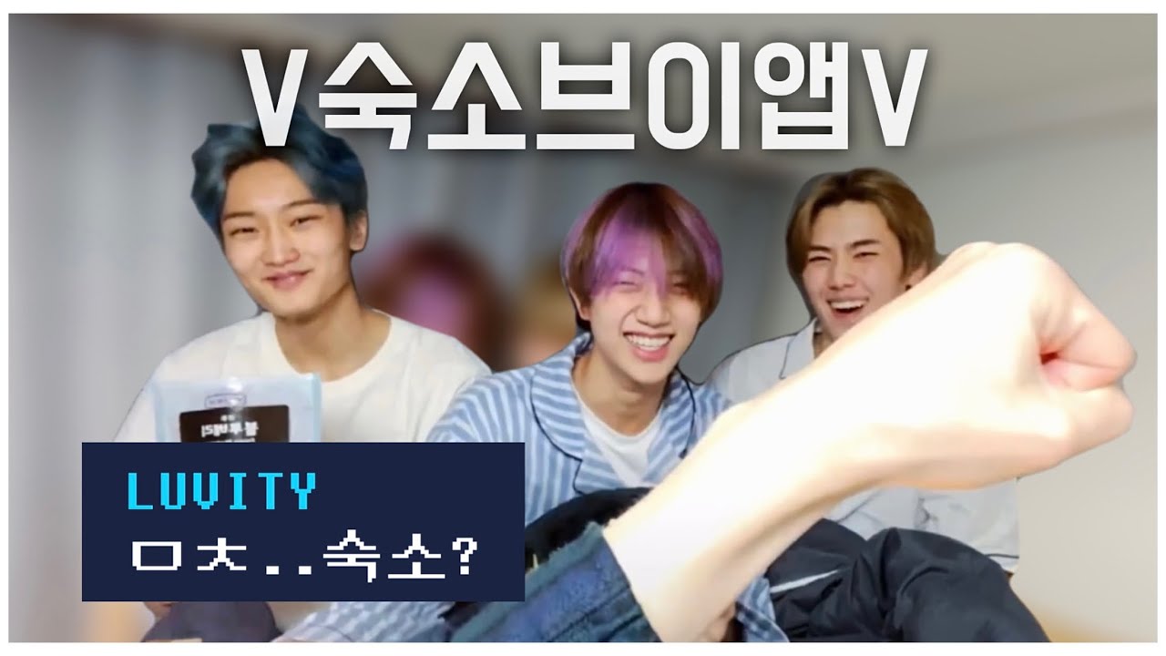 [크래비티/CRAVITY] 첫 숙소 브이앱 하이라이트 🛏 🐥🐶🦊 (feat.🐱)