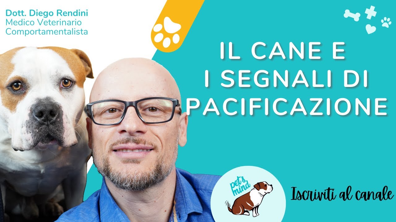Il cane e i segnali di pacificazione