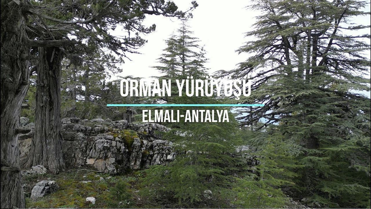 Orman Y&uuml;r&uuml;y&uuml;ş&uuml; - Elmalı - Antalya (DJI Mini 3 Pro) (4K Drone Footage)
