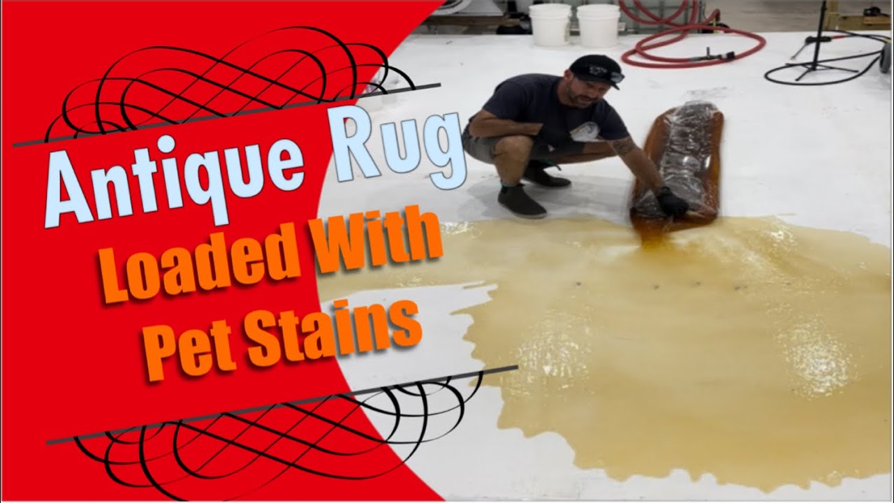 Antique Persian Rug full of pet stains