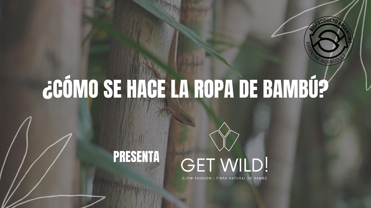 ¿Cómo Se hace La Ropa De Bambú? ¿Cómo Se Convierte En Tela, La Fibra De Bambú? Get Wild!