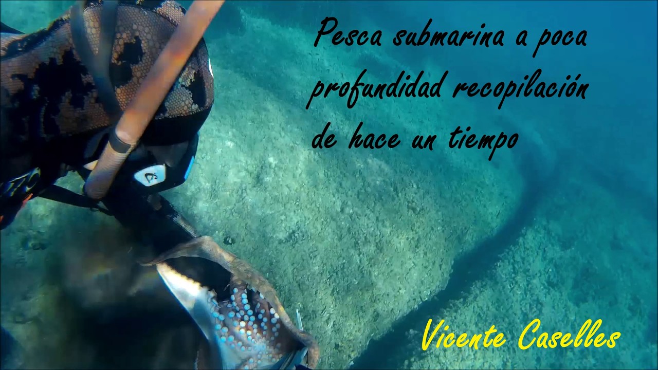Pesca submarina a poca profundidad recopilación de hace un tiempo