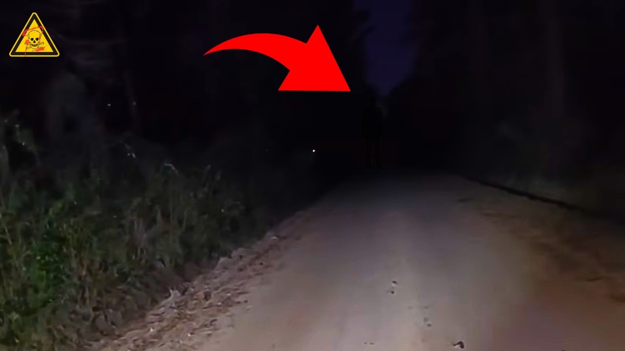 7 Encontros Perturbadores Capturados Em Florestas Sinistras!