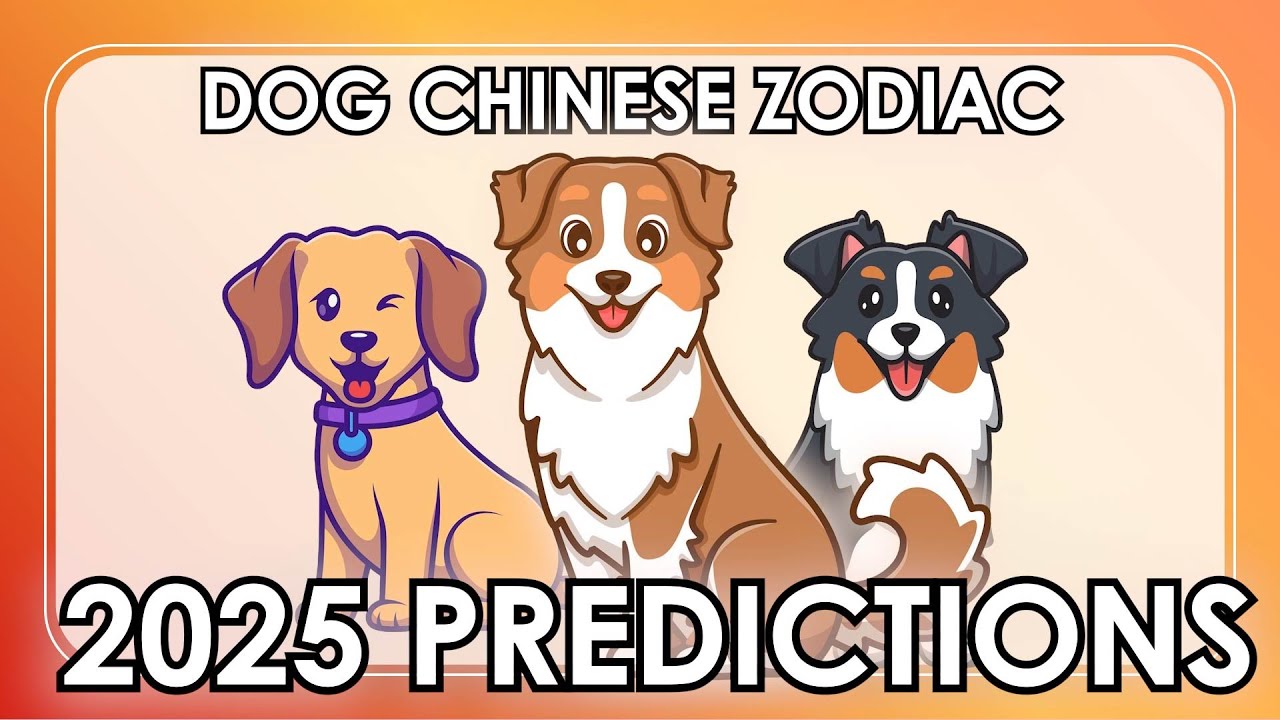Is 2025 the Luckiest Year for Dog Zodiac?