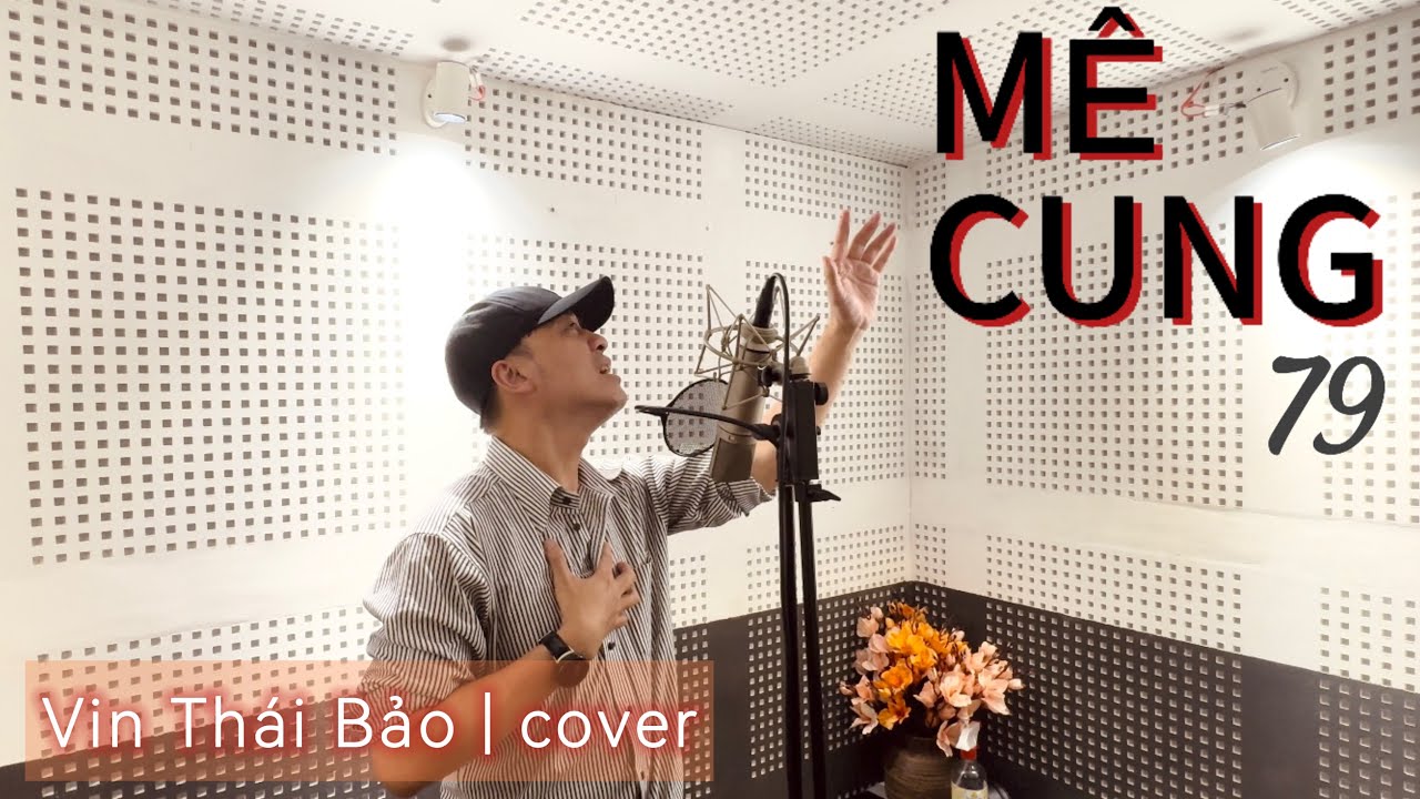 MÊ CUNG 79 [ Phương Thanh x Trung Ngon ] - Vin Thái Bảo ~ cover | Dành hết nửa cuộc đời để tìm …