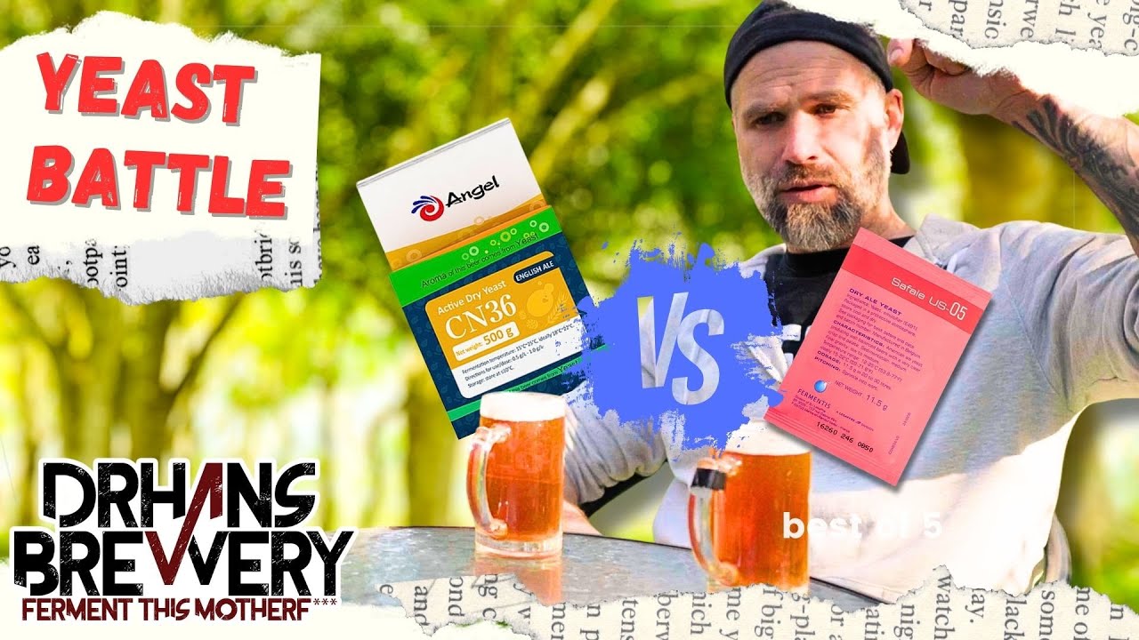 Yeast Showdown: Angel Yeast CN36 vs Fermentis US05 | DrHans Brewery