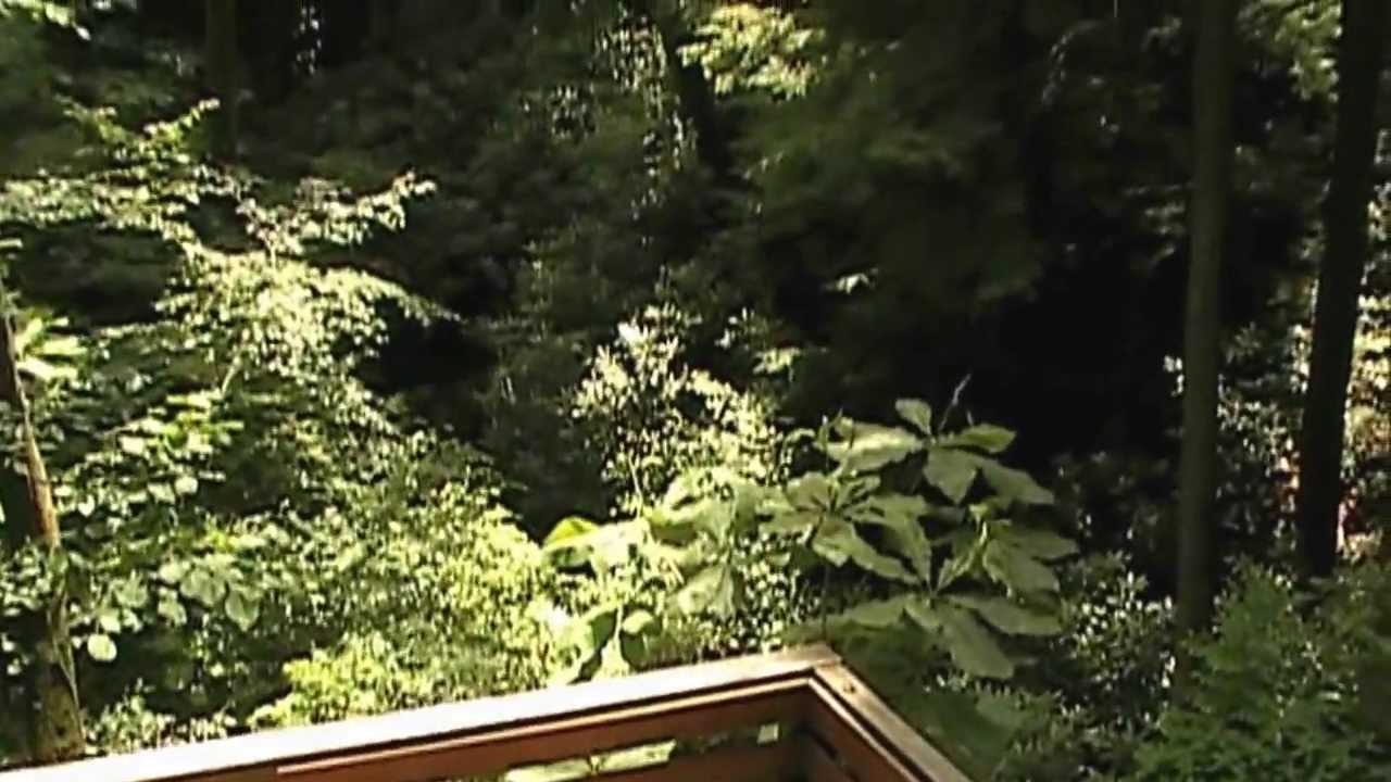 Serenity Falls, very secluded cabin in Red River Gorge and Natural Bridge with natural waterfall