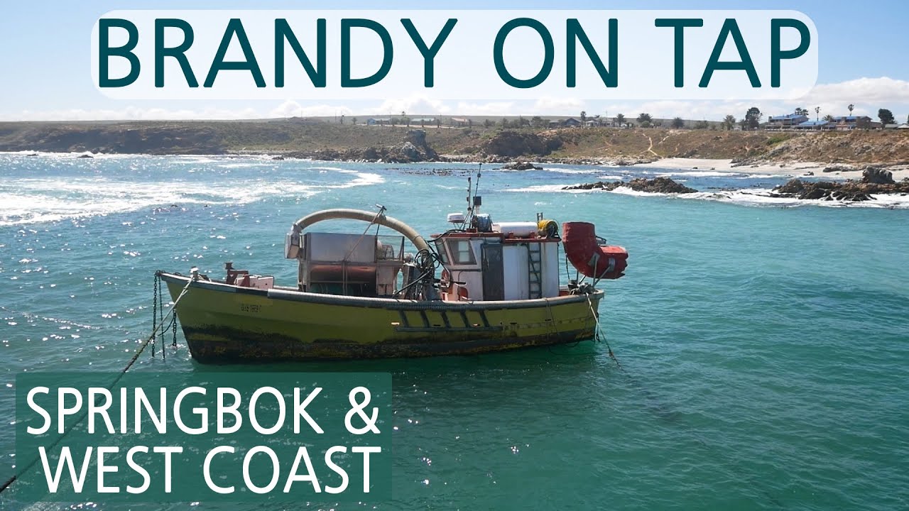 Springbok & The West Coast