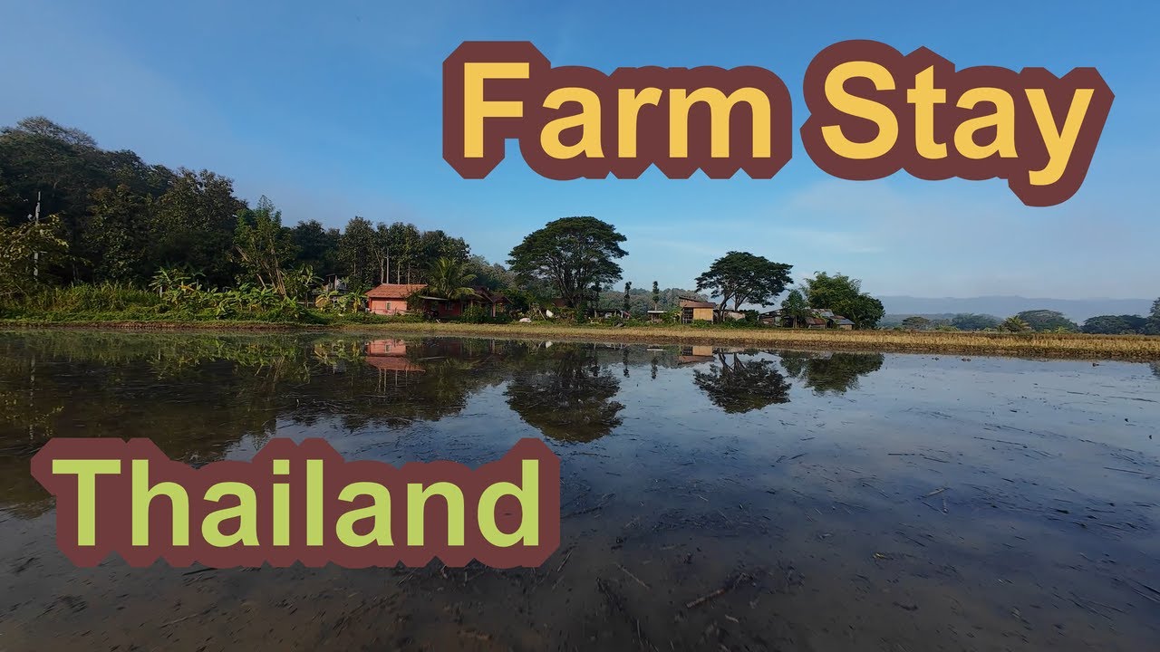 Farm Stay near Wat Chaloem Phra Kiat Phrachomklao Rachanusorn  (Sky Pagoda), Thailand
