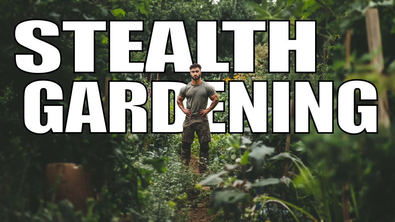 Stealth Gardening: How to Grow Hidden Food for Self-Sufficiency - Prepper's Paradigm