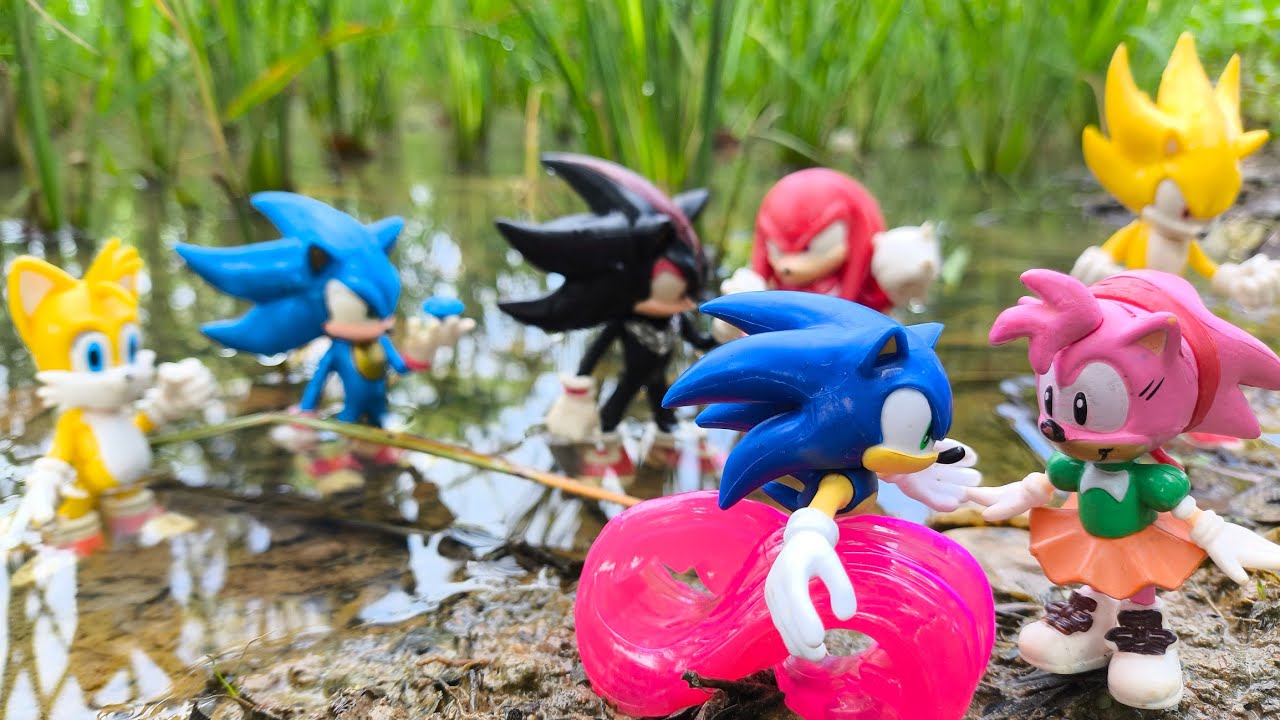 Sonic Hunter | Sonic Hedgehog | Knuckles | Tails | Super Sonic | Sonic Shadow | Metal Sonic | Amy