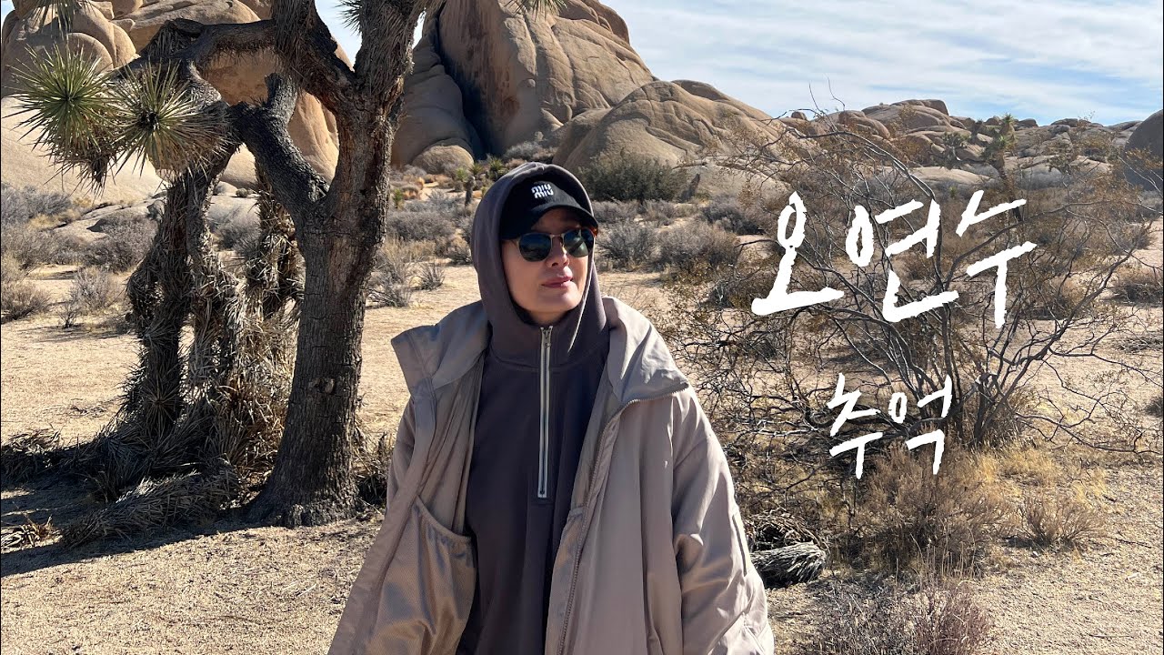 Ep. 37 미국에서의 기록 / 근교 당일치기 ( 조슈아트리 국립공원 / 팜스프링 )