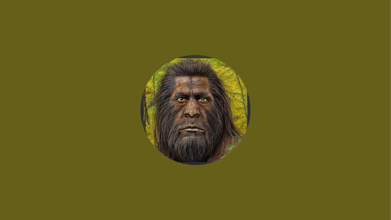 Sasquatch and paranormal in Wineberry holler  is live!