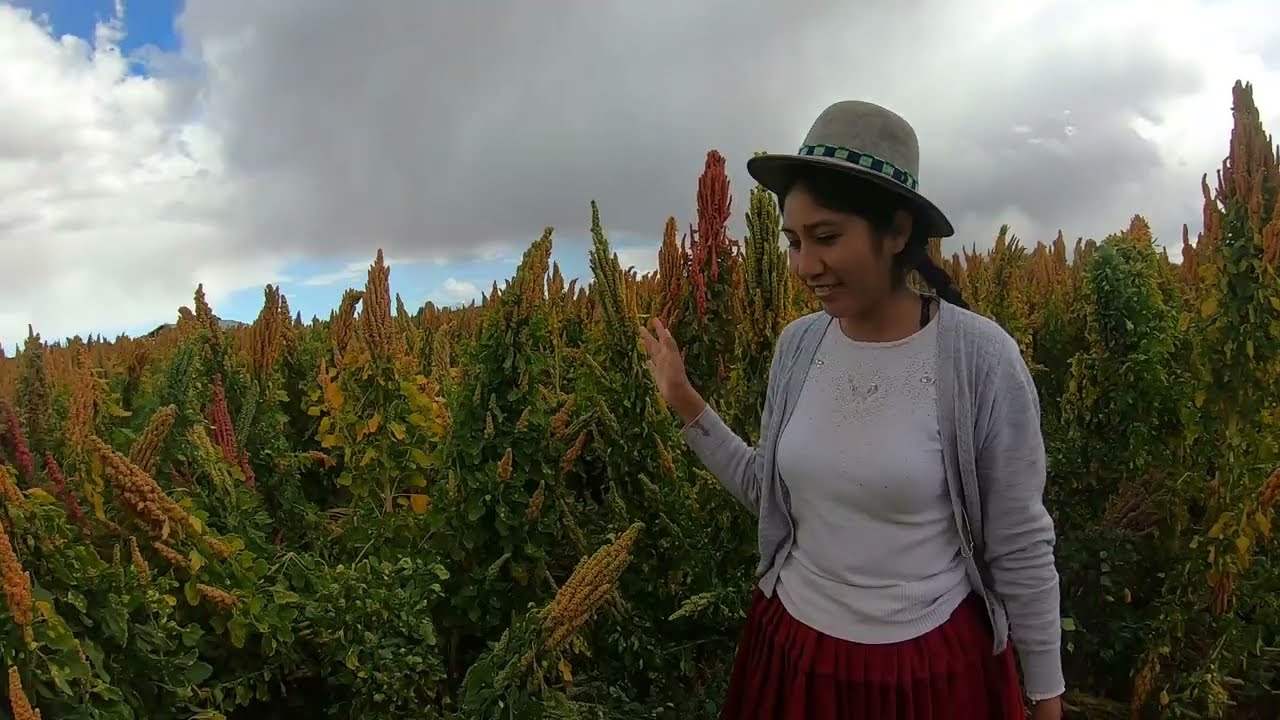 Documental VIII Congreso Mundial de la Quinua, Potosí - Bolivia