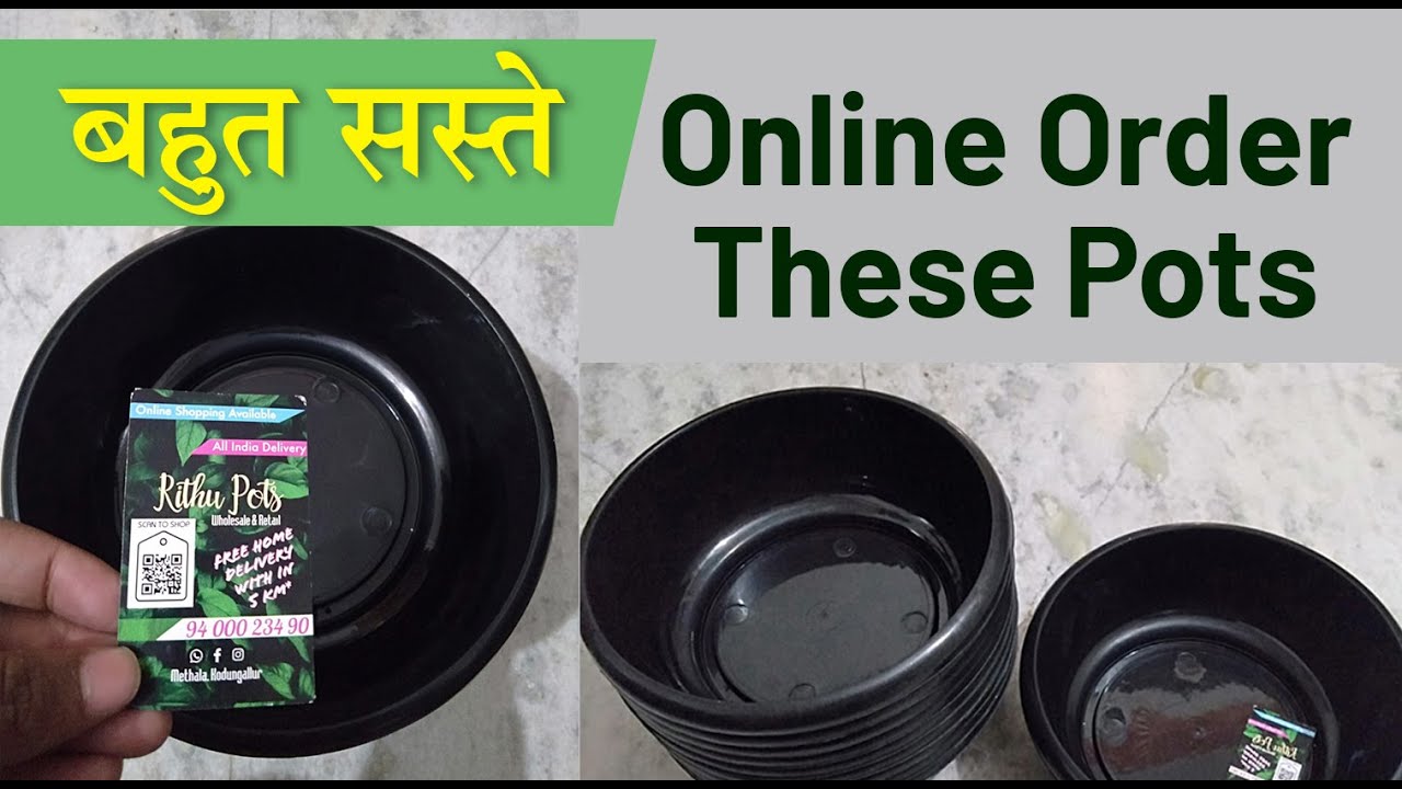 Online buy Shallow Pots for adenium and other bonsai plant | Adenium pots | Online buy pots-