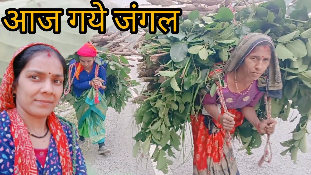 जंगल जाते ही क्यों आया सास जी को गुस्सा 😠😱#phadilifestylell