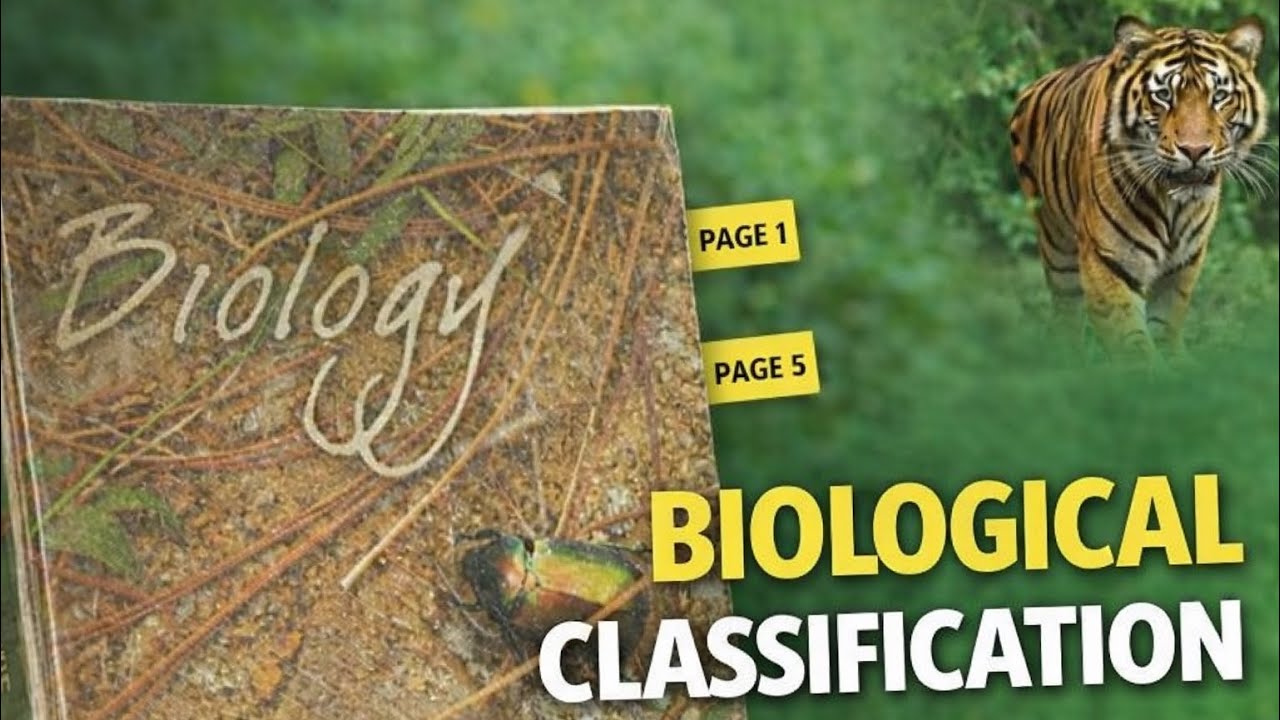 Chapter 2 Biological classification kingdom fungi explanation 