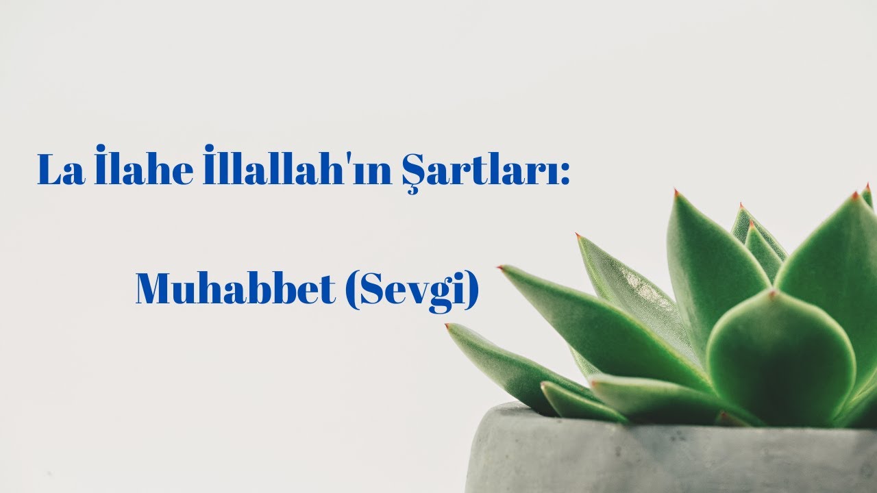 La İlahe İllallah'ın Şartları: 5-MUHABBET (Sevgi)