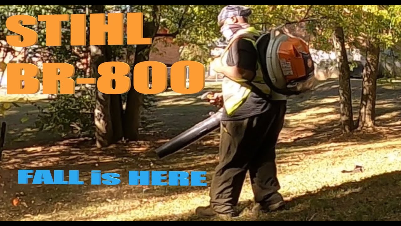 STIHL BR800 BLOWING IN EARLY FALL