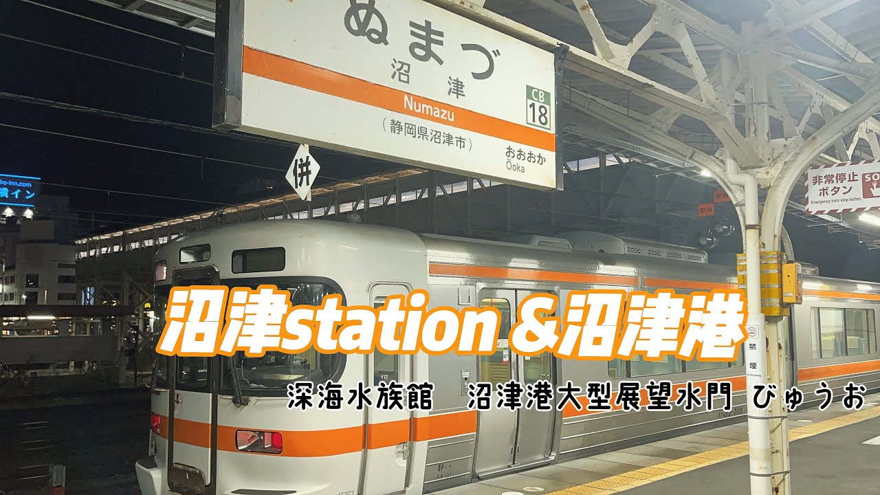 【おでかけ】【電車】沼津駅🚃御殿場線と東海道線本線を見たよ！清水港！漁船や沼津港大型展望水門 びゅうお　世界初！シーラカンスの展示！！深海水族館🐟にもいったよ！