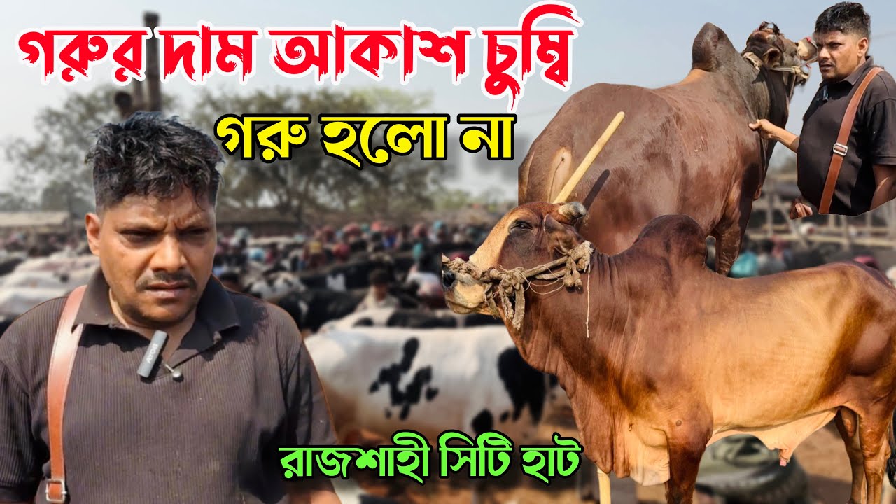 আকরাম ভাইয়ের ভাগ্যে আজ গরু জোটেনি 😅 রাজশাহী সিটি হাটে গরুর দর দাম।Caw price 