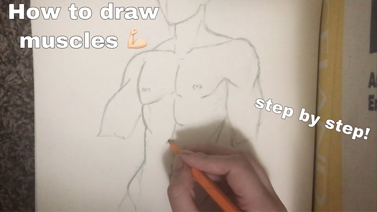How to draw muscles/male body (step by step)
