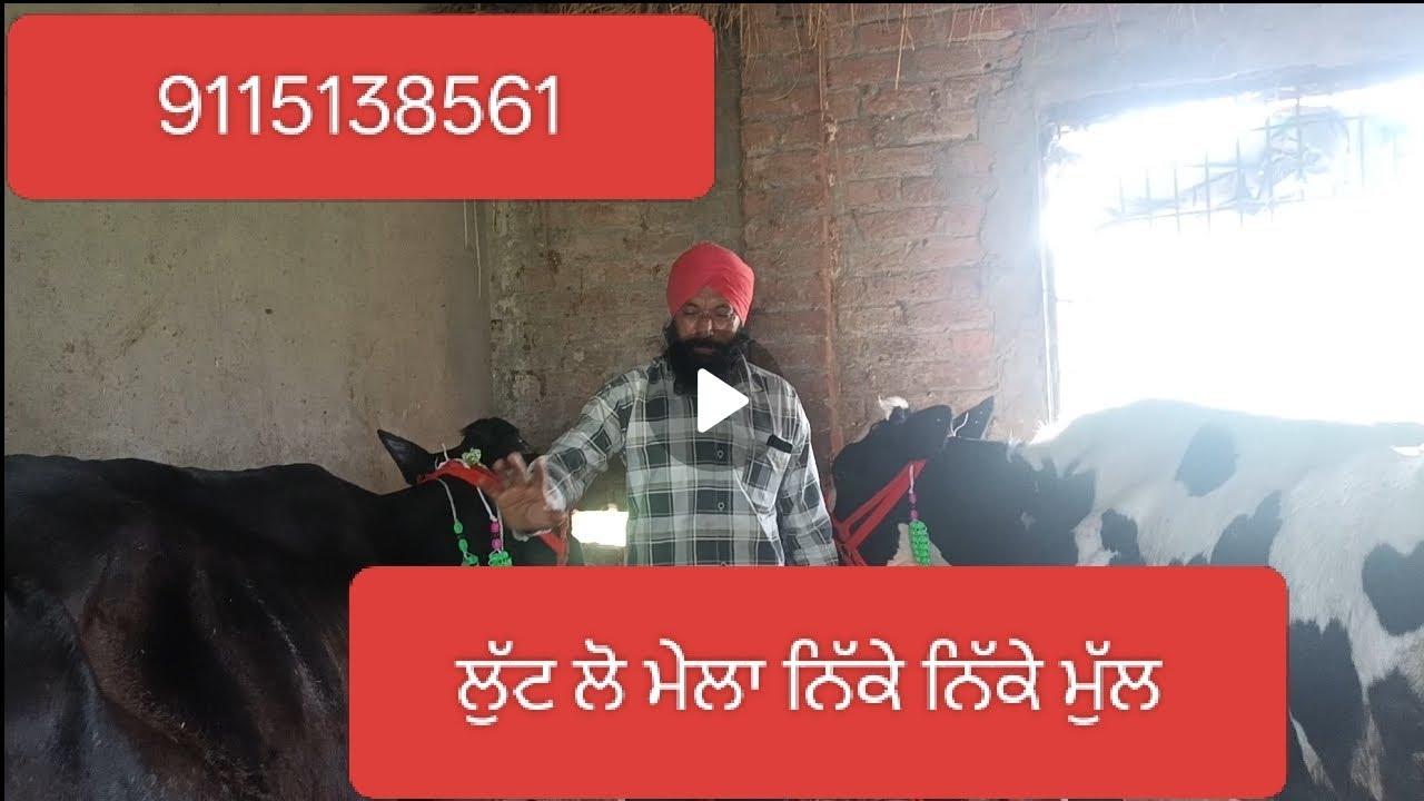9115138561 ਲੁੱਟ ਲੋ ਮੇਲਾ ਨਿੱਕੇ ਨਿੱਕੇ ਮੁੱਲ