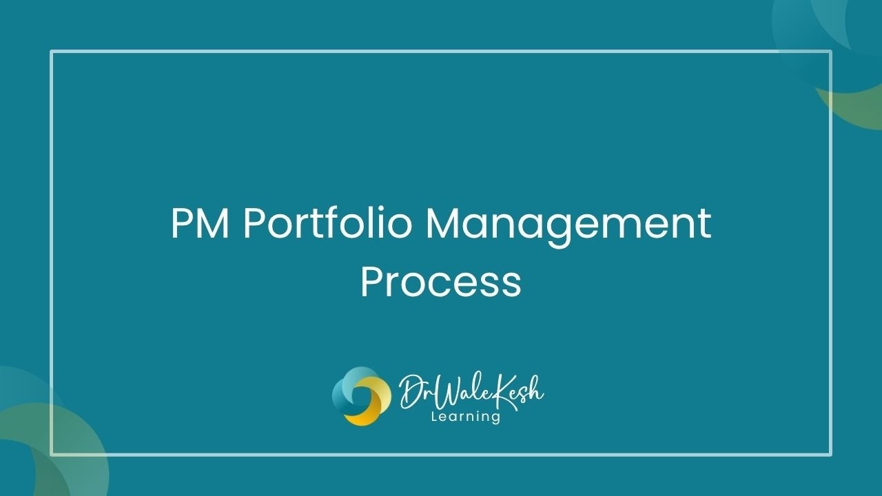PM Portfolio Management Process