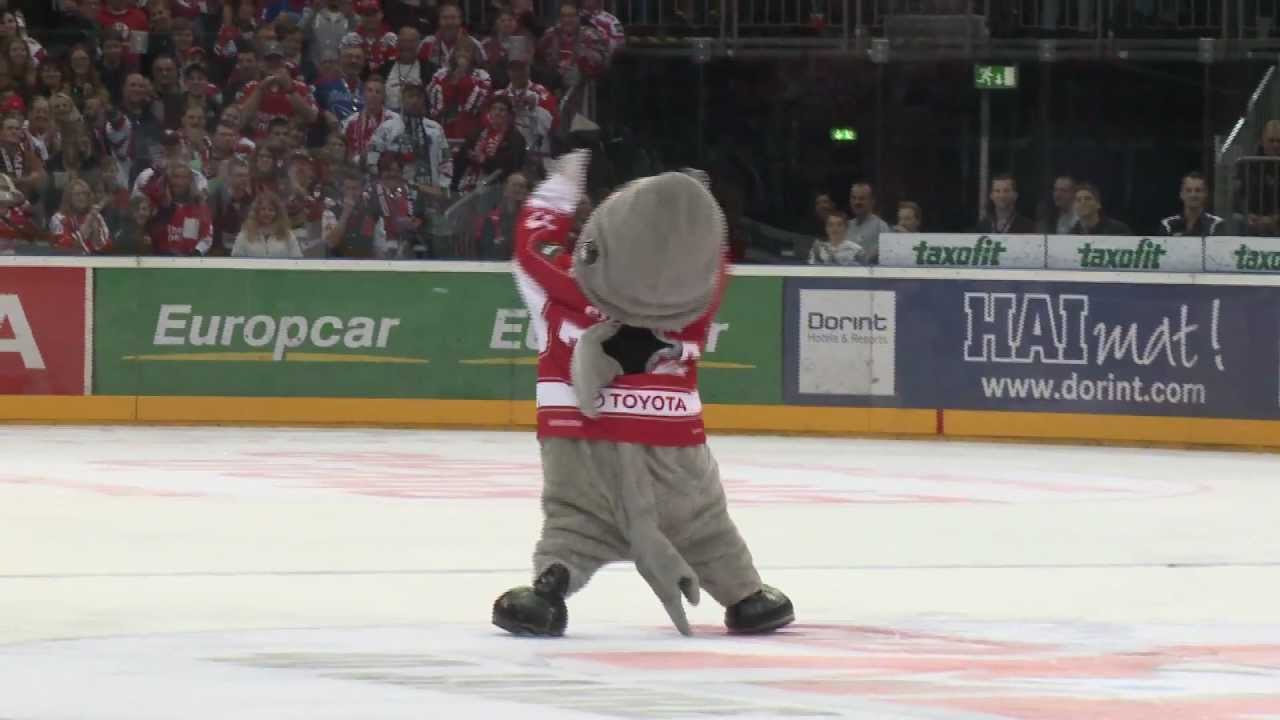Sharky Dance - Hip Hop Style