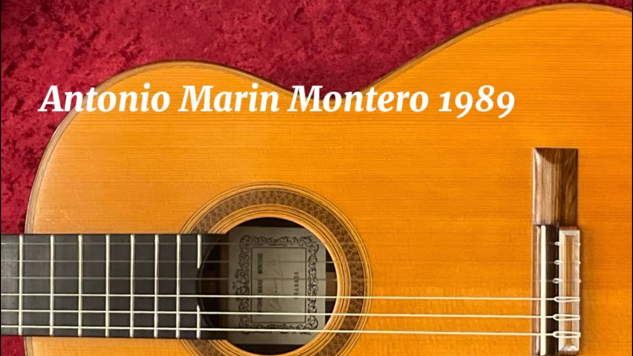 アントニオ・マリン・モンテロ Antonio Marin Montero 1989年製 グラナダ（アルベニス）