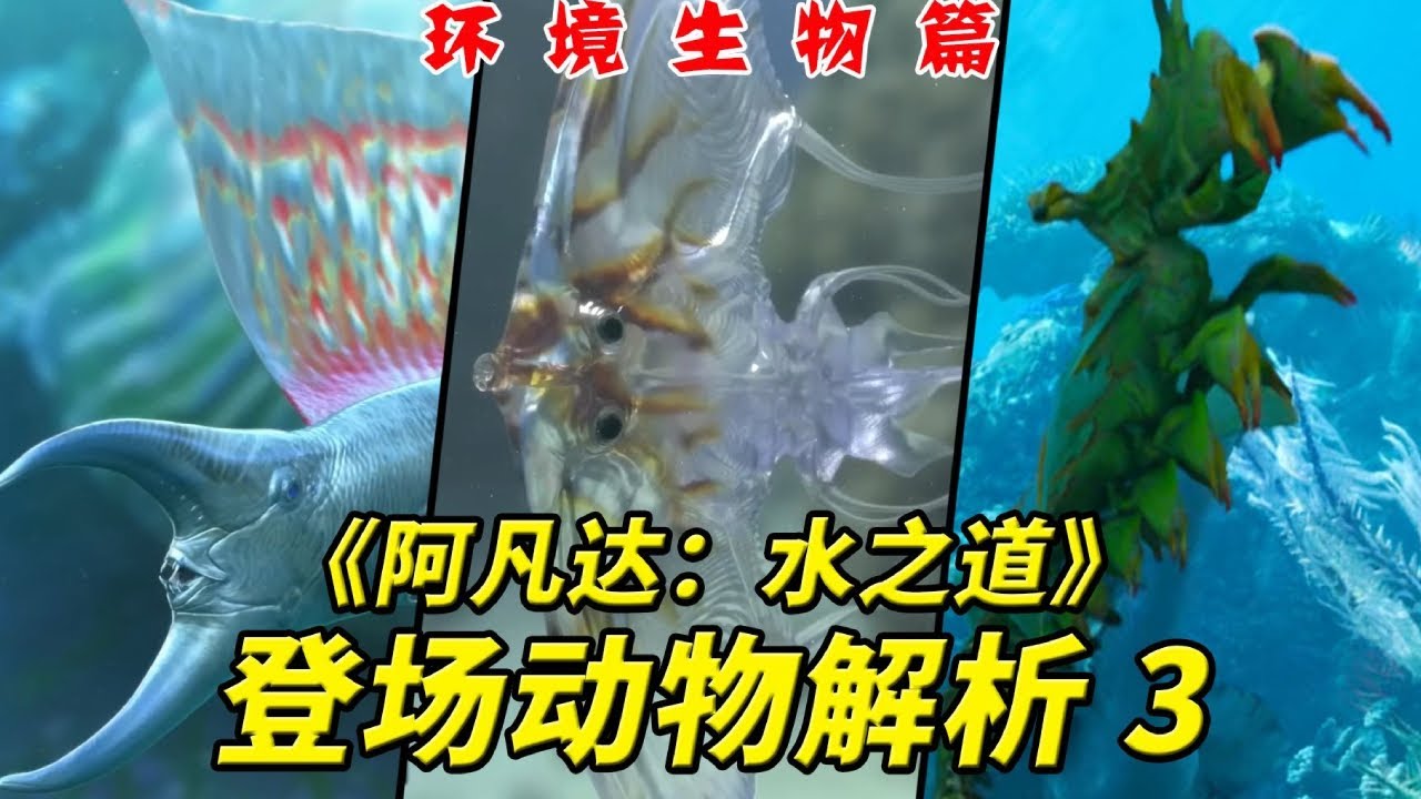 潘多拉海洋的生态有多丰富？【《阿凡达：水之道》登场动物解析03：二十种环境生物大盘点】