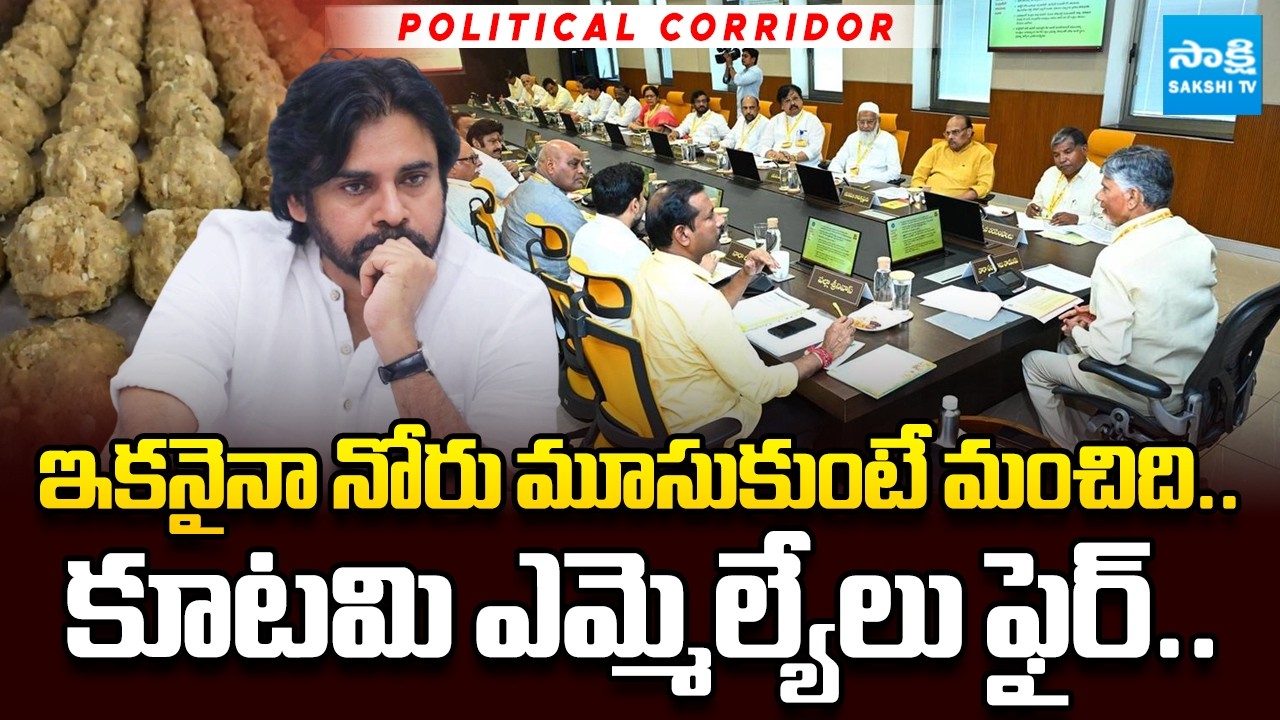 TDP MLAs Serious on Chandrababu, Pawan TTD Laddu Fake News | TTD Laddu Prasadam Issue | PC