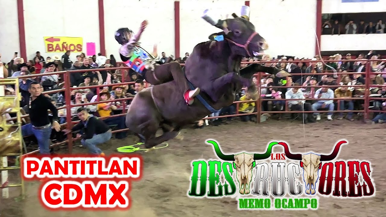 ¡LLEGO LA D3STRUCCION A LA CDMX! RANCHO LOS DESTRUCTORES EN PANTITLAN CDMX