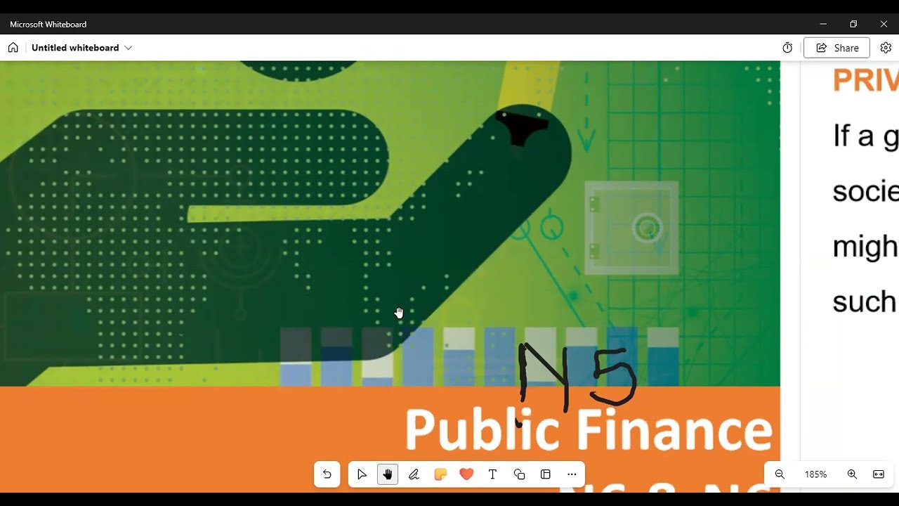 Public Finance N5 Reasons for Privatization module 1 @MATRICNATEDSPECIALIST