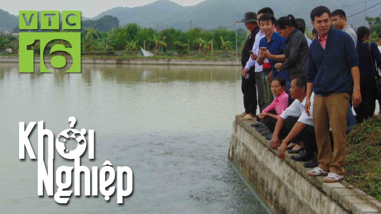 "Kim chỉ nam" để nuôi cá truyền thống thành công I VTC16