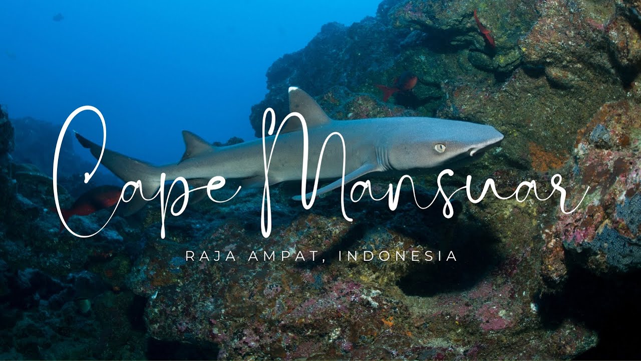 Cape Mansuar - Raja Ampat #rajaampat #scubadiving