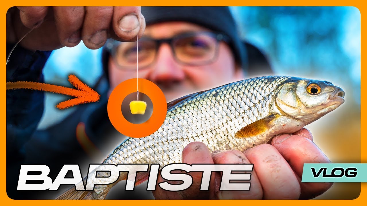 Gardons au maïs - Vlog de Baptiste