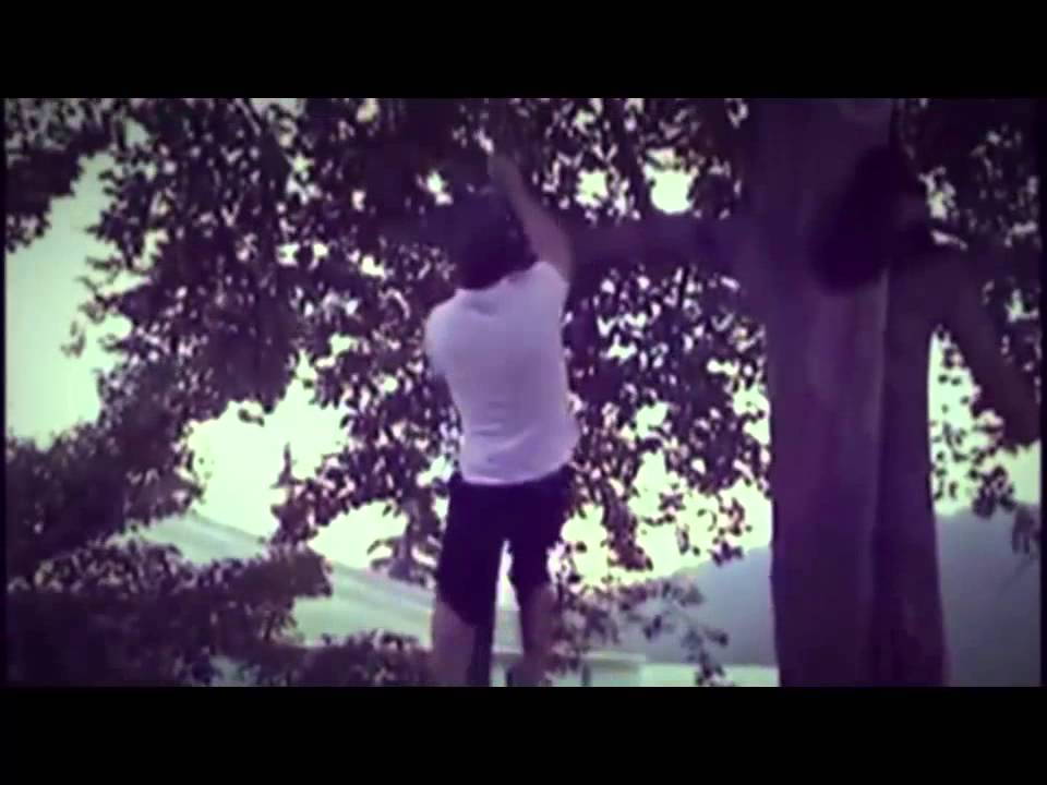 Motivação Judô - Qual seu Apetite pelo Sucesso ?