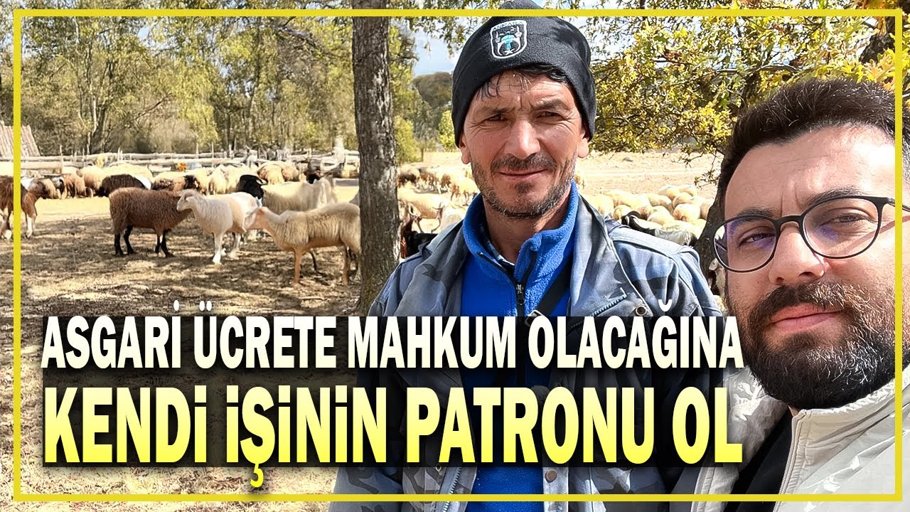 Memurlukta Görmediğim Parayı Çobanlıkta Gördüm - Emekli Çobanın Hayatı