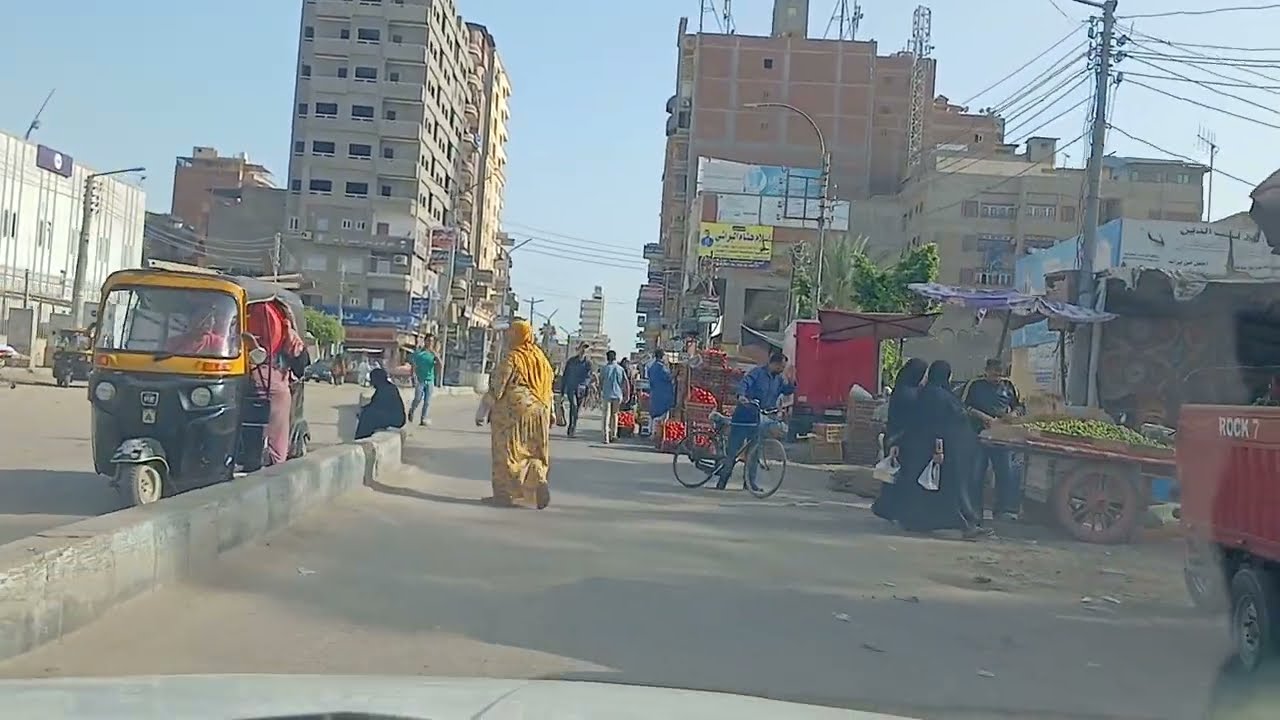 القيادة في مصر طريق يربط بين دكرنس وشربين محافظة الدقهلية جزا(2)