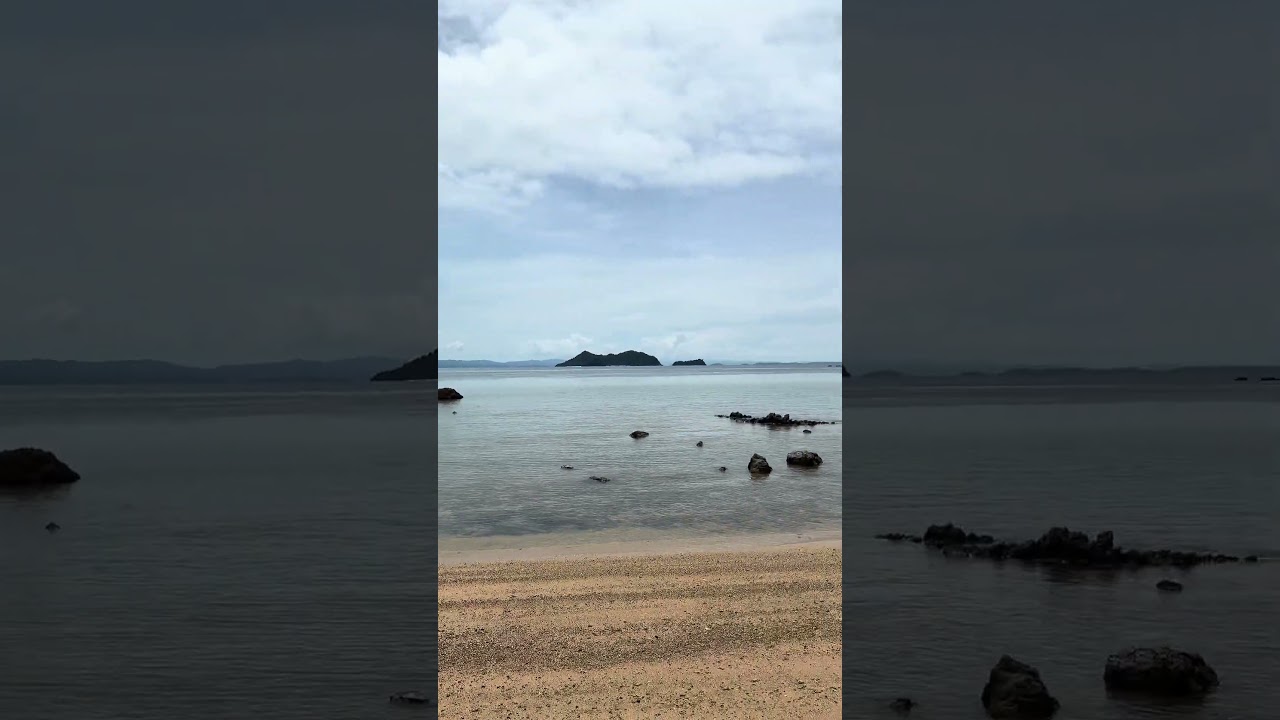 Property For Sale In Palawan #SanVicente #beach