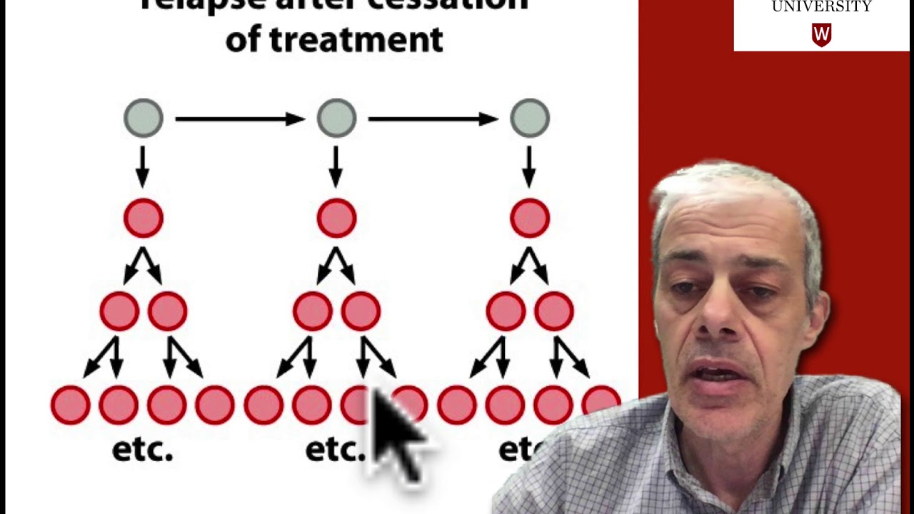 5.8 Cancer stem cells