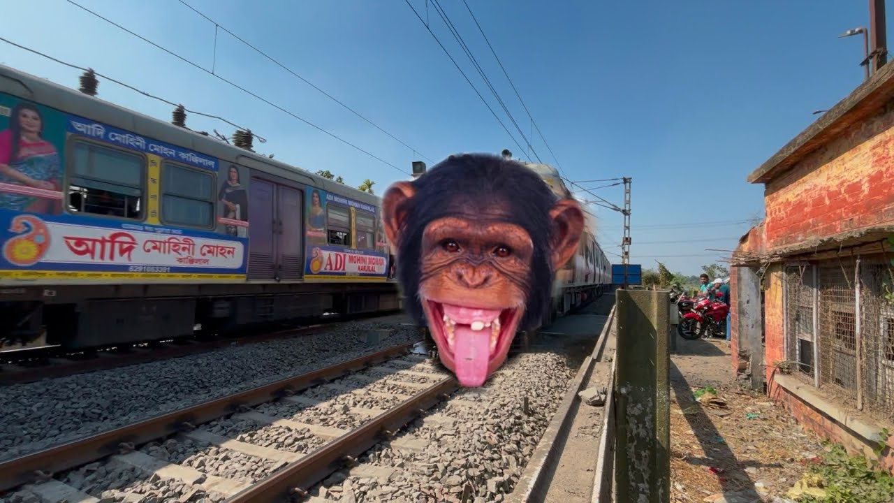 Dangerous Chimpanzee Headed ONOL Emu Furious Crossing Throughout at Railgate 